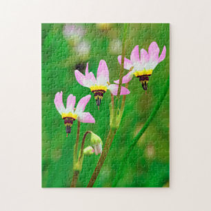 Shooting Star Wildflowers in Mission Trails Park Jigsaw Puzzle