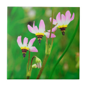 Shooting Star Wildflowers in Mission Trails Park Tile