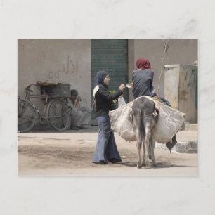 Shopping in Cairo Postcard