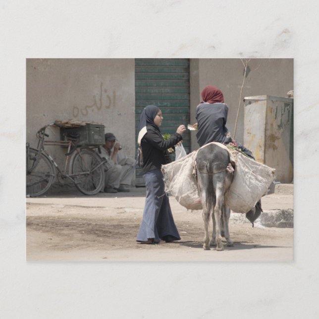 Shopping in Cairo Postcard (Front)