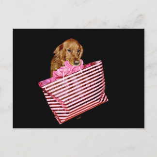 Shopping Postcard