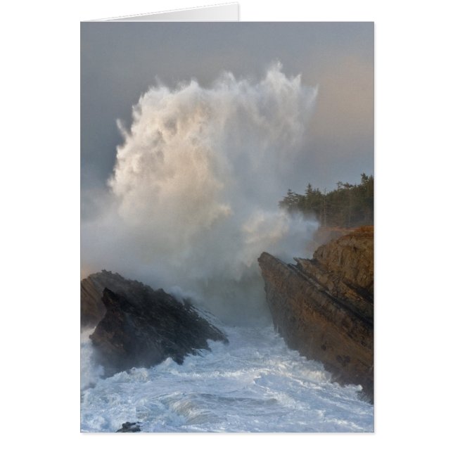 Shore Acres State Park, Charleston, Oregon (Front)