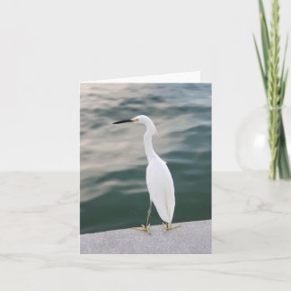 Shore bird at Siesta Key blank note card