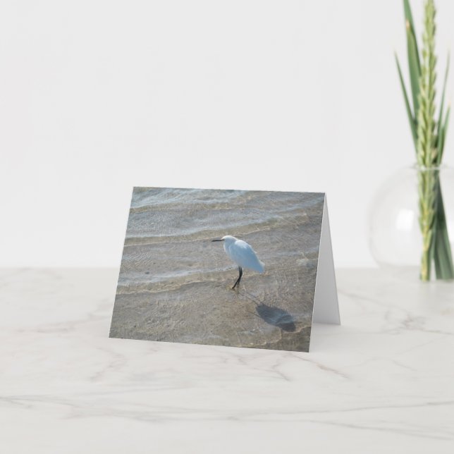 Shore bird notecard (Front)