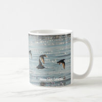Shore Birds in Flight