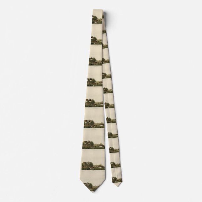 Shore Lark (Horned Lark) Audubon Birds of America Tie (Front)