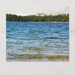Shore of Tenaya Lake, Yosemite, California Postcard