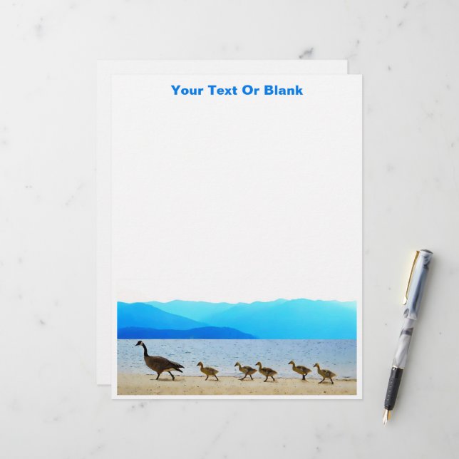 Shore Patrol - Canada Geese Letterhead (Front/Back In Situ)