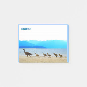 Shore Patrol - Canada Geese Post-it Notes
