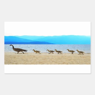 Shore Patrol Canada Geese Sticker