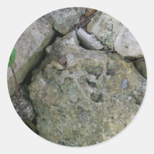 Shore rocks, jagged, with small green shoot classic round sticker