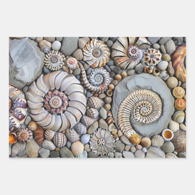 Shore Shells  Wrapping Paper Sheet (Front 2)