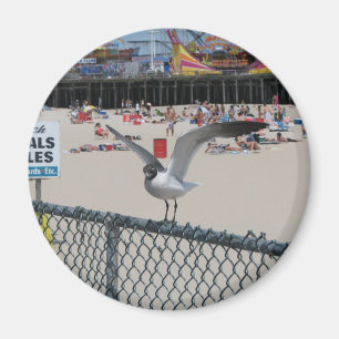 Shore Thing Magnet