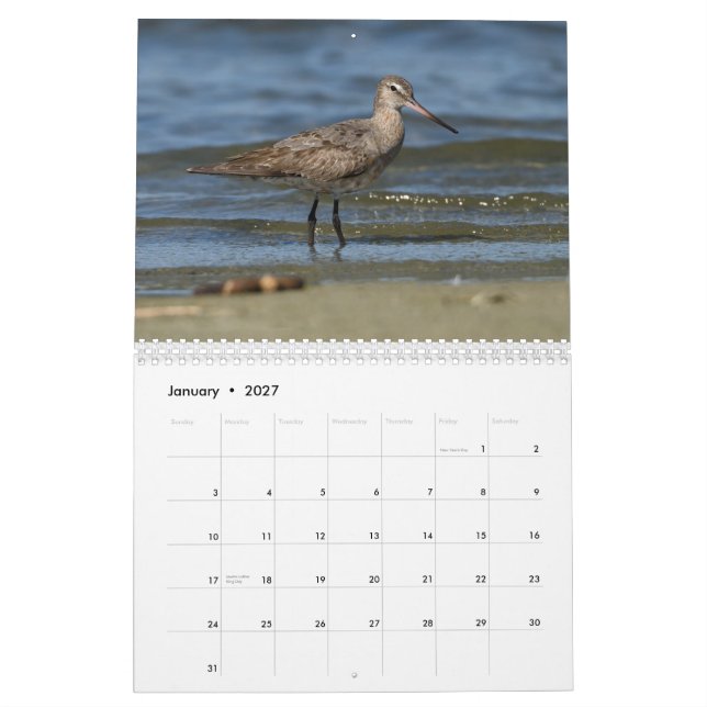 Shorebirds Calendar (Jan 2027)