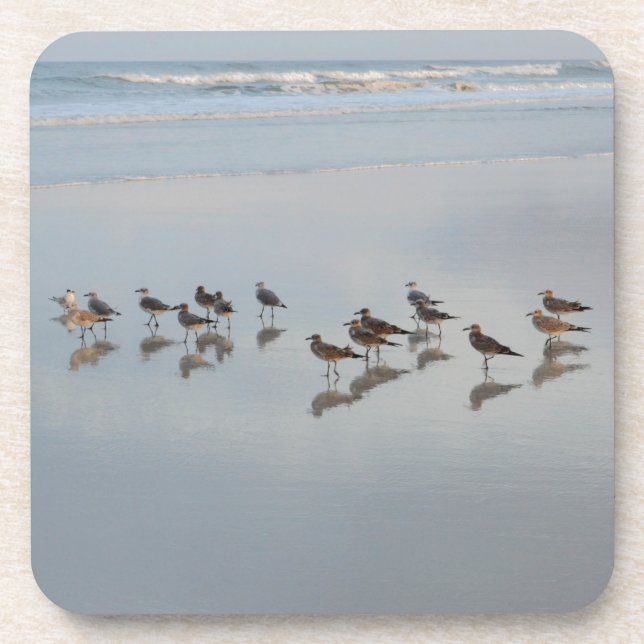 Shorebirds Coaster (Front)