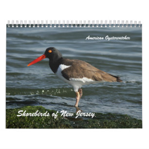Shorebirds of New Jersey Calendar