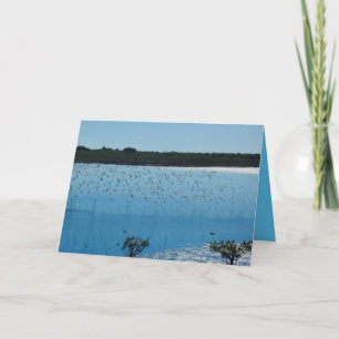 Shorebirds on the Wing Greeting Card