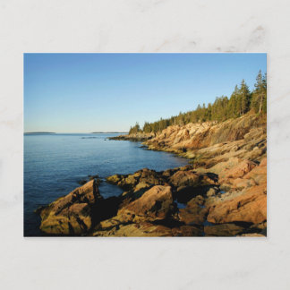 Shoreline Acadia Postcard