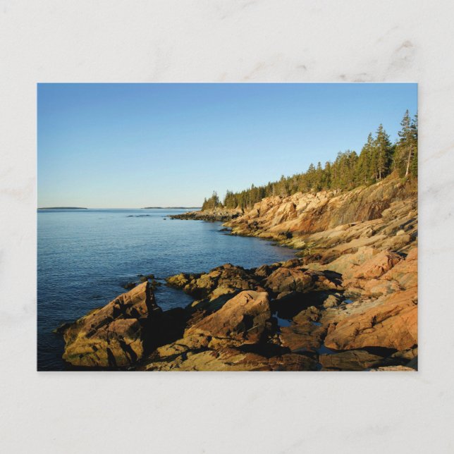 Shoreline Acadia Postcard (Front)