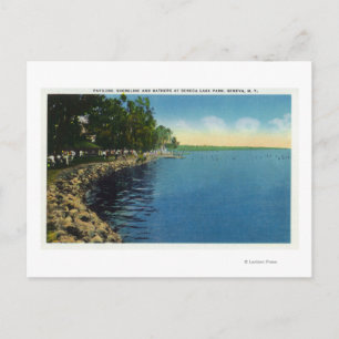Shoreline, Pavilion, and Swimmers Postcard
