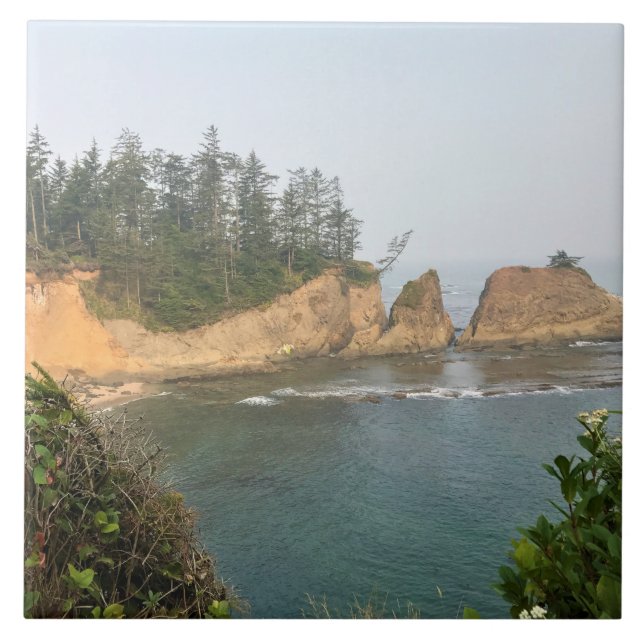 Shores Acres State Park, Oregon Coast Tile (Front)
