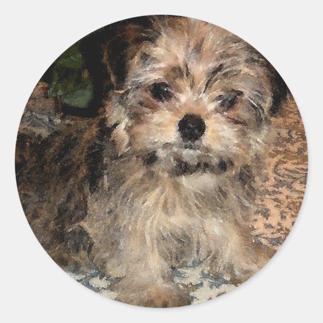 Shorkie Puppy Classic Round Sticker (Front)