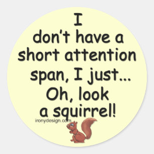 Short Attention Span Squirrel Classic Round Sticker