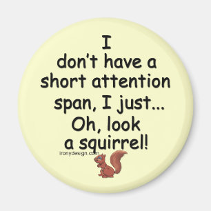 Short Attention Span Squirrel Magnet