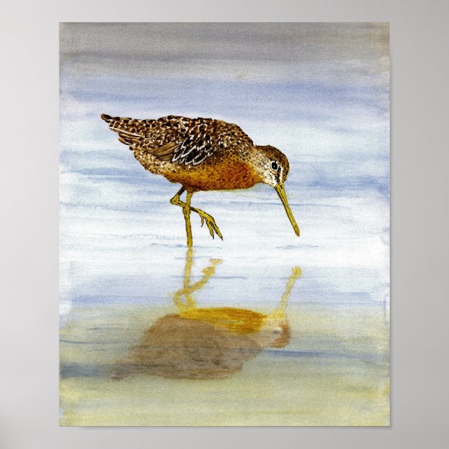 Short Billed Dowitcher Art Poster (Front)
