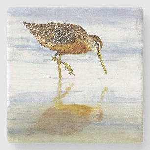 Short-Billed Dowitcher Coaster