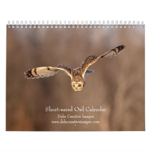 Short-eared Owl 2026 Calendar