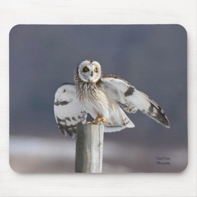 Short-Eared Owl 2 Mouse Pad (Front)