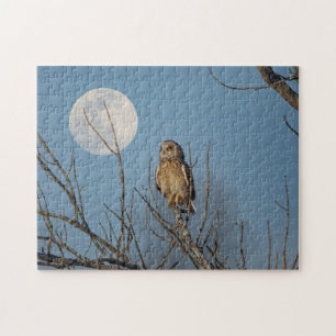 Short-eared owl at the Shawangunk Grasslands Jigsaw Puzzle