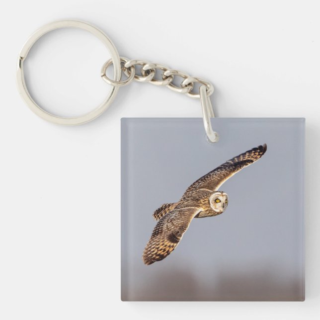 Short-eared owl at the Shawangunk Grasslands Keychain (Front)