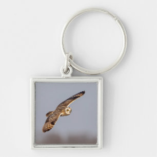 Short-eared owl at the Shawangunk Grasslands Keychain