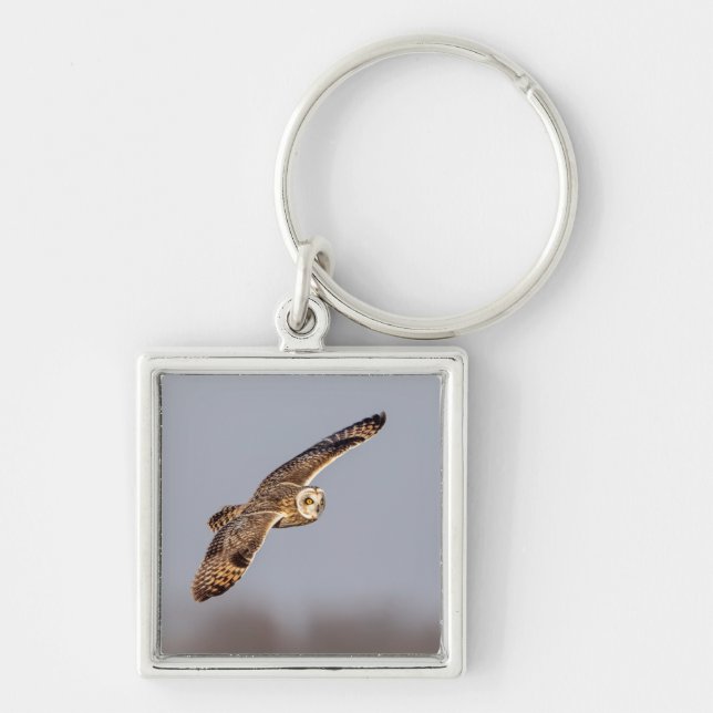 Short-eared owl at the Shawangunk Grasslands Keychain (Front)