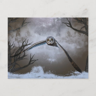 Short-eared owl at the Shawangunk Grasslands Postcard