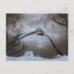 Short-eared owl at the Shawangunk Grasslands Postcard