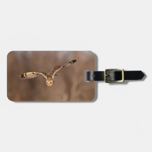 Short-eared owl diving towards the ground luggage tag