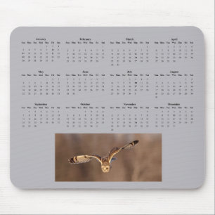 Short-eared owl full year 2025 calendar mouse pad