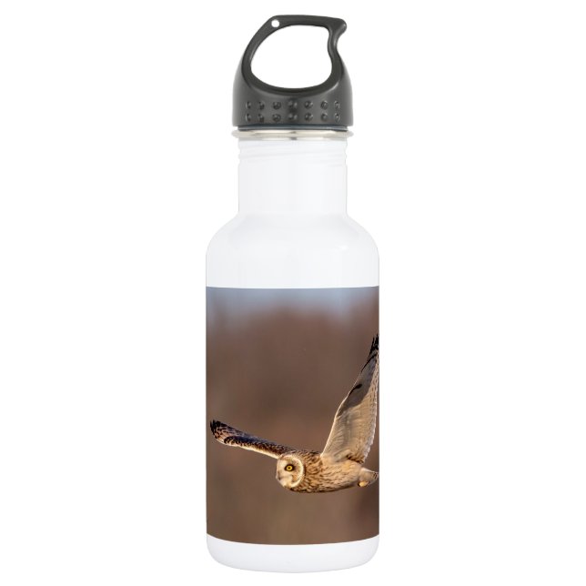 Short-eared owl in flight 532 ml water bottle (Front)
