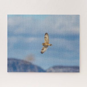 Short-eared owl in flight jigsaw puzzle