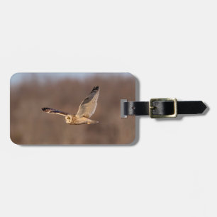 Short-eared owl in flight luggage tag