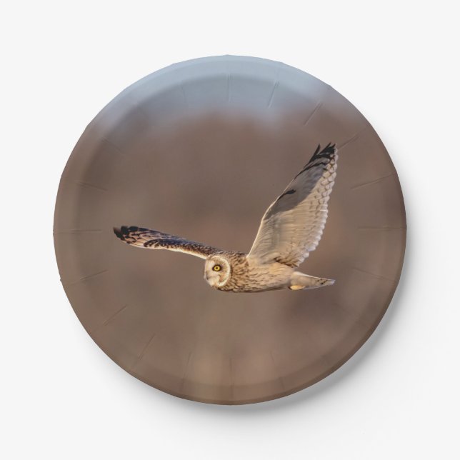Short-eared owl in flight paper plate (Front)