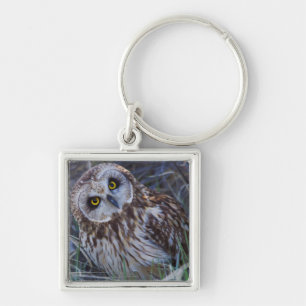 Short-eared Owl Keychain