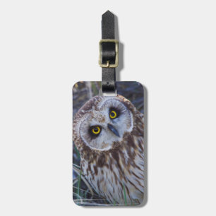 Short-eared Owl Luggage Tag