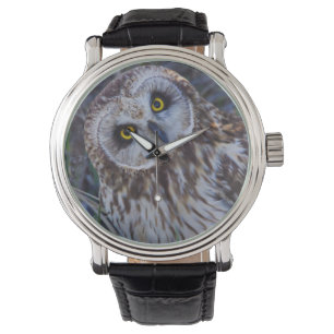 Short-eared Owl Watch