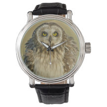 Short-eared Owl Watch