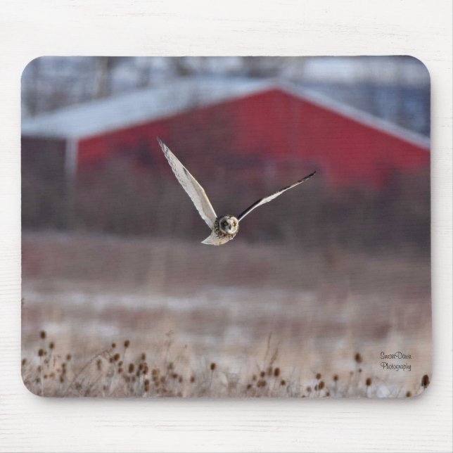 Short-Eared Owl with Red Barn Mouse Pad (Front)