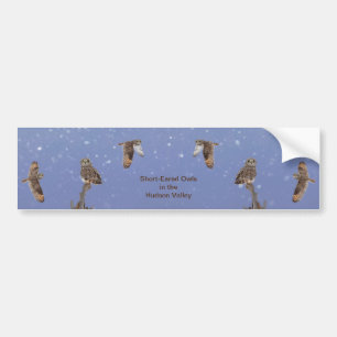 Short-Eared Owls in the Hudson Valley Bumper Sticker
